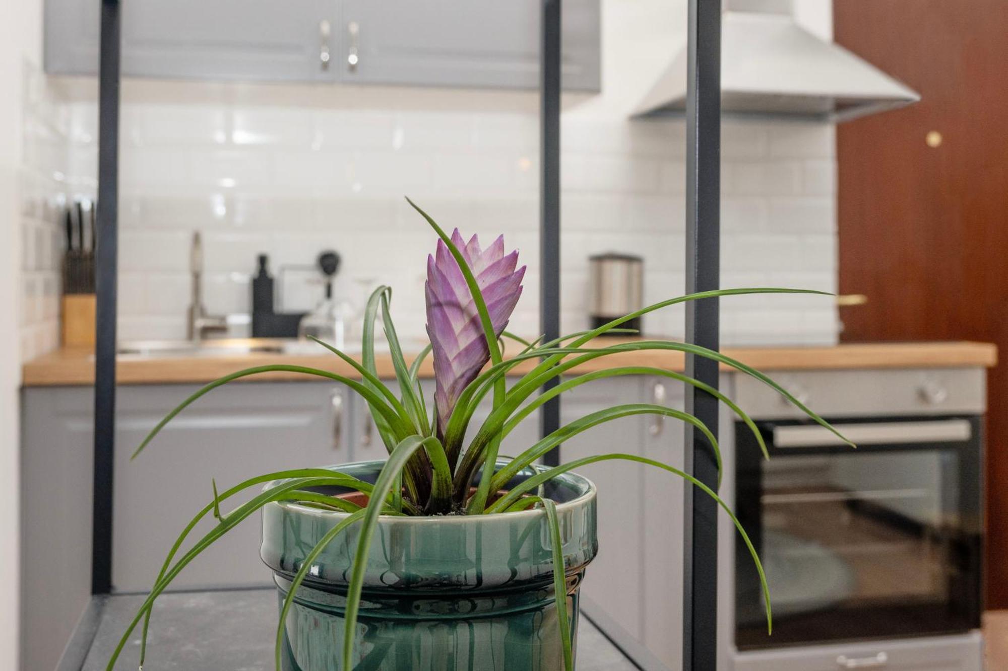 Studio Apartment Stadium Zagreb Dış mekan fotoğraf